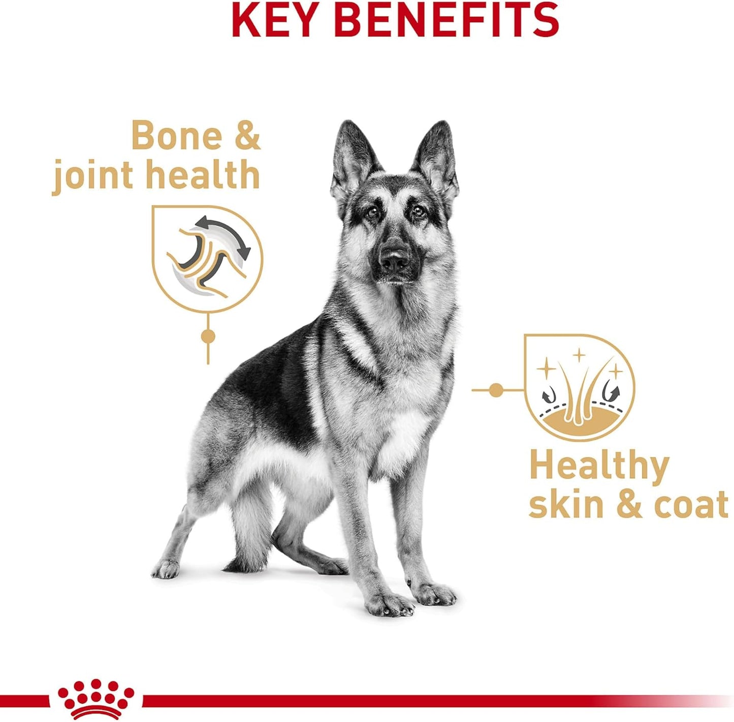 Royal Canin