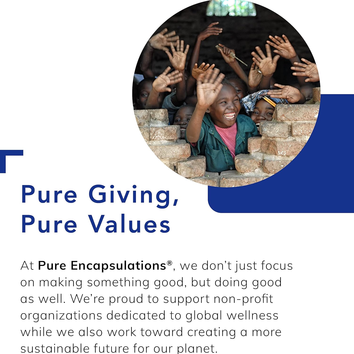 Pure Encapsulations