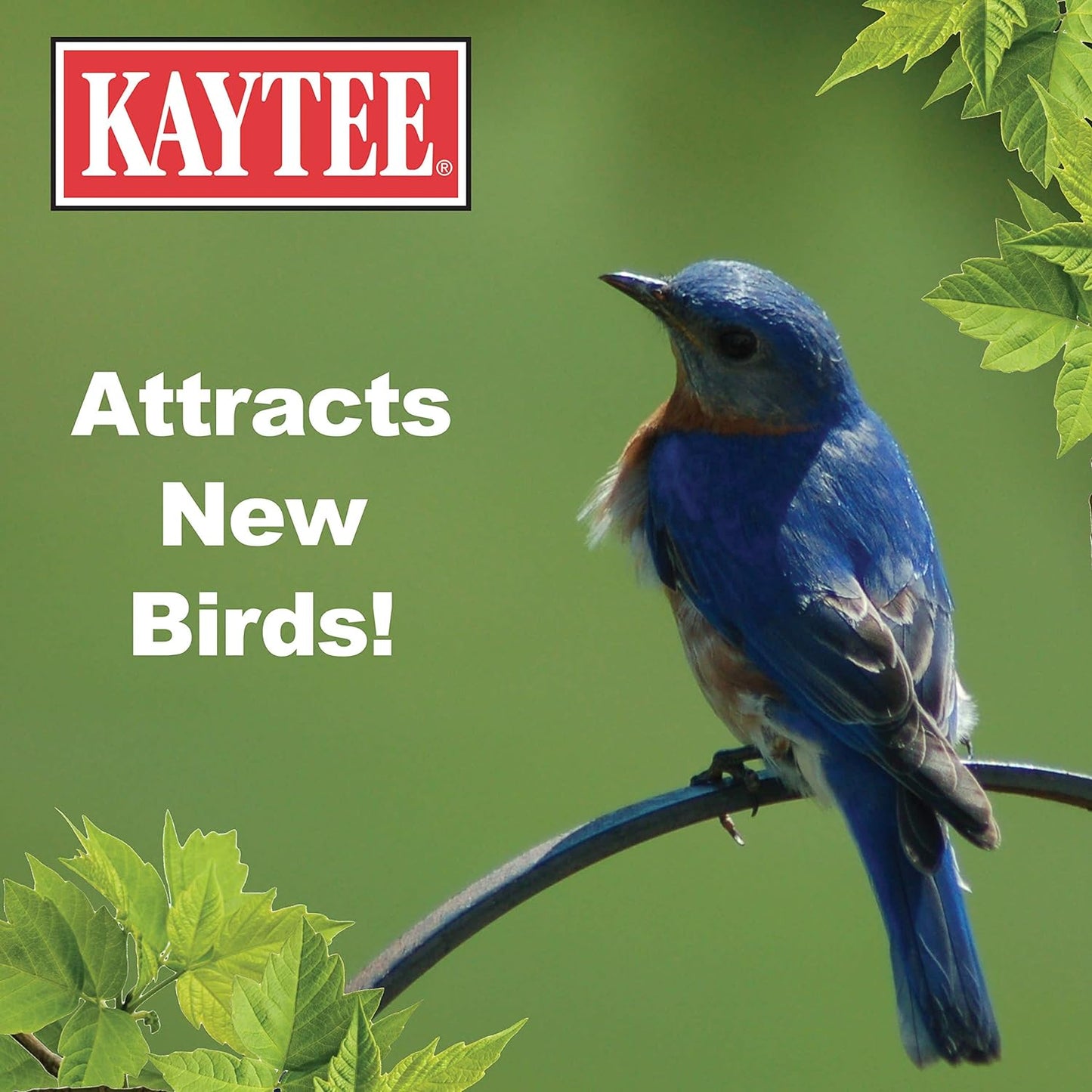 https://www.basketryplace.shop/products/kaytee-wild-bird-food-mealworms-for-bluebirds-wrens-robins-chickadees-woodpeckers-cardinals-chickens-2-pound - top-secret-recipes.myshopify.com