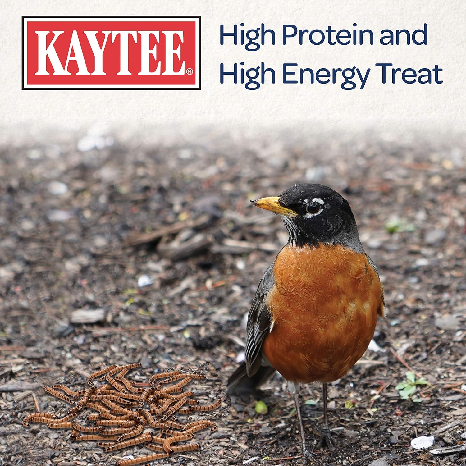 https://www.basketryplace.shop/products/kaytee-wild-bird-food-mealworms-for-bluebirds-wrens-robins-chickadees-woodpeckers-cardinals-chickens-2-pound - top-secret-recipes.myshopify.com